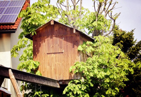 baumhaus
