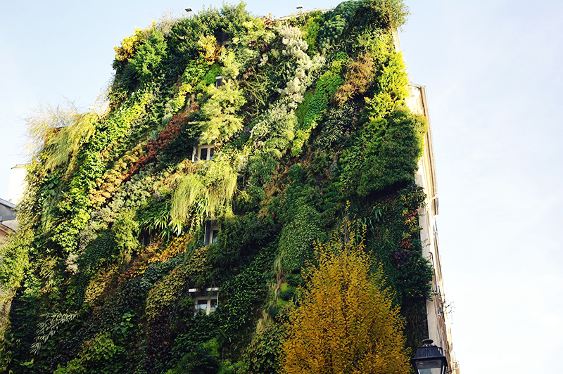 green-paris