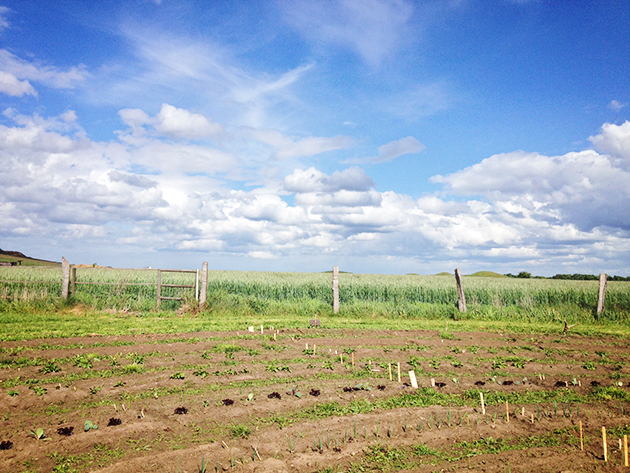 bauerngarten_aussicht